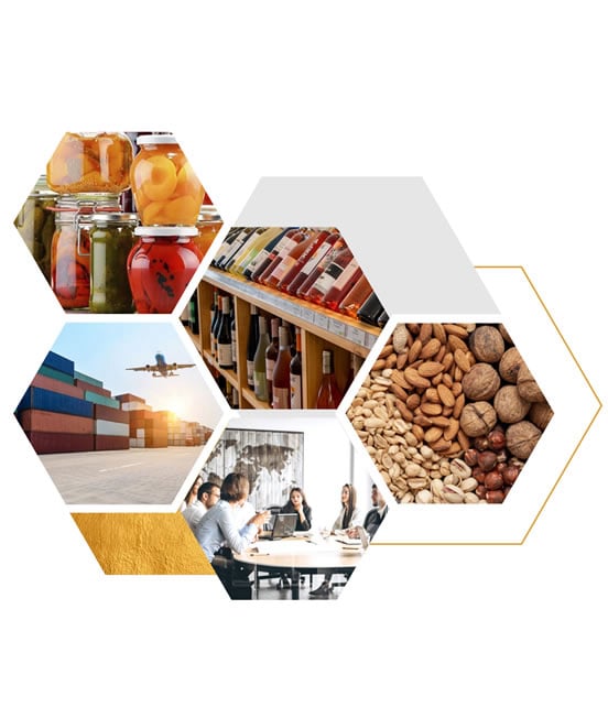 Comercio Exterior Mendoza
